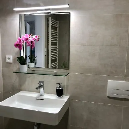 5th Element 布尔诺